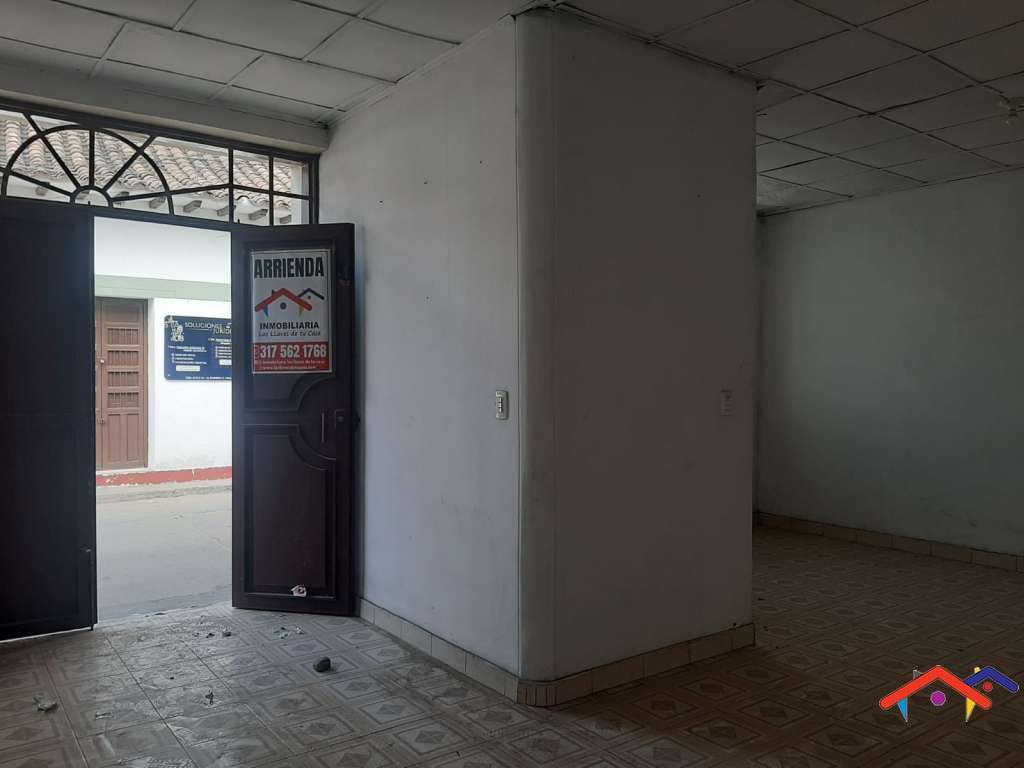 imagen1