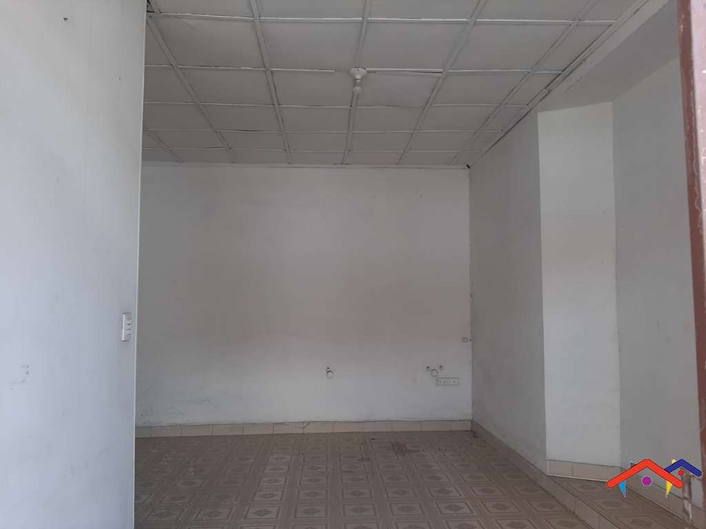 imagen1